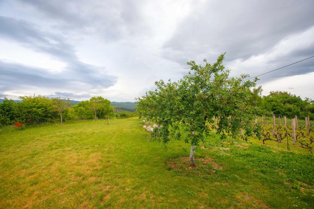 Casa Di Oliva-House With Heated Pool & Jacuzzi In Trilj, Croatia Villa Eksteriør bilde